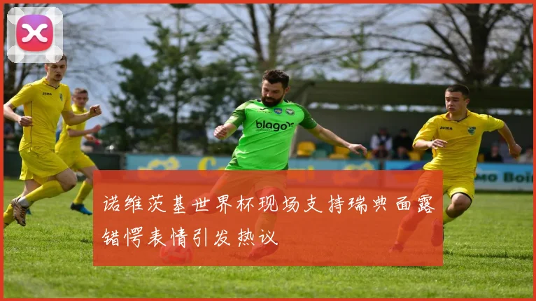 诺维茨基世界杯现场支持瑞典面露错愕表情引发热议